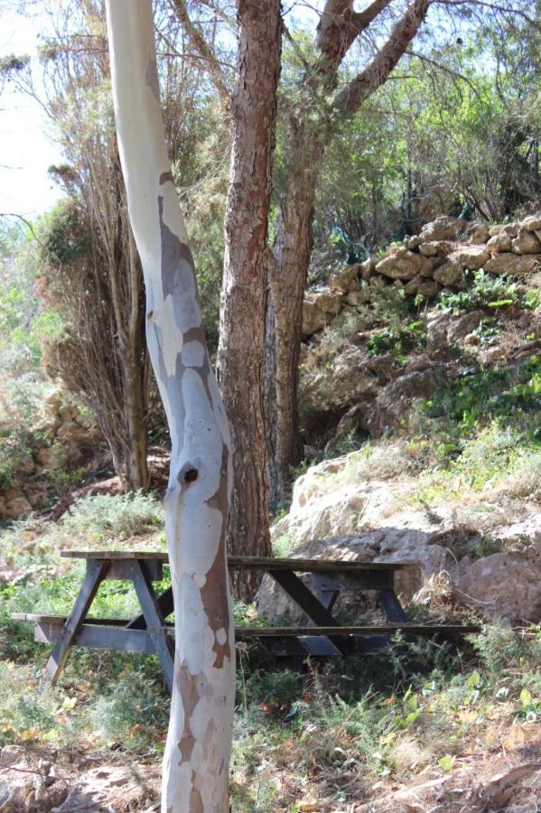La Pineta Villa Favignana Dış mekan fotoğraf